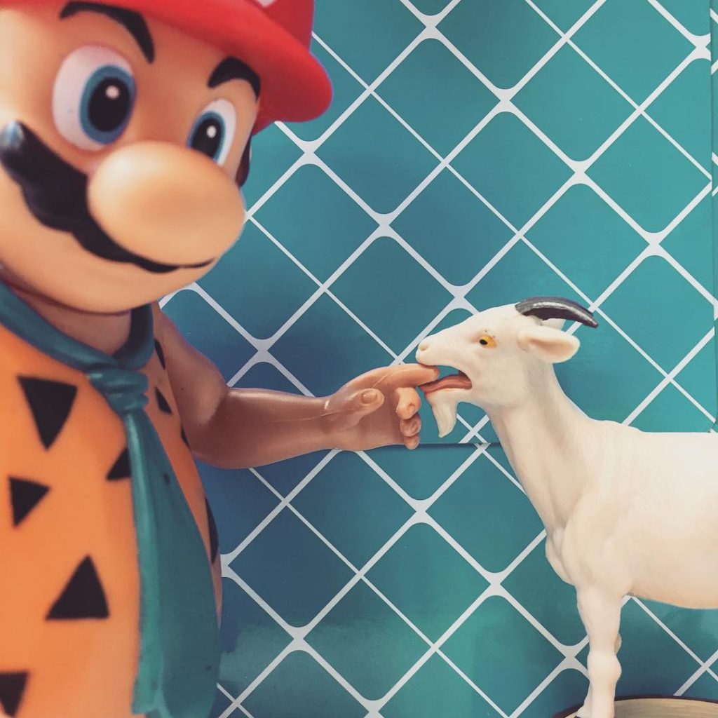 Dont Feed the Animals