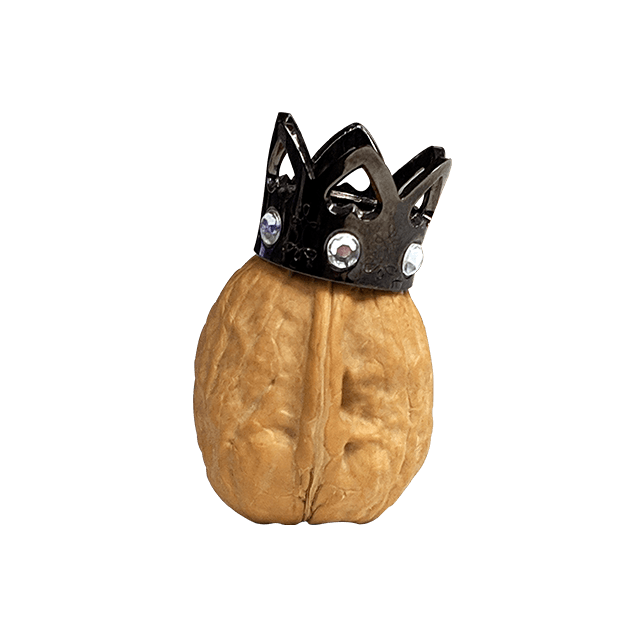 King Nut
